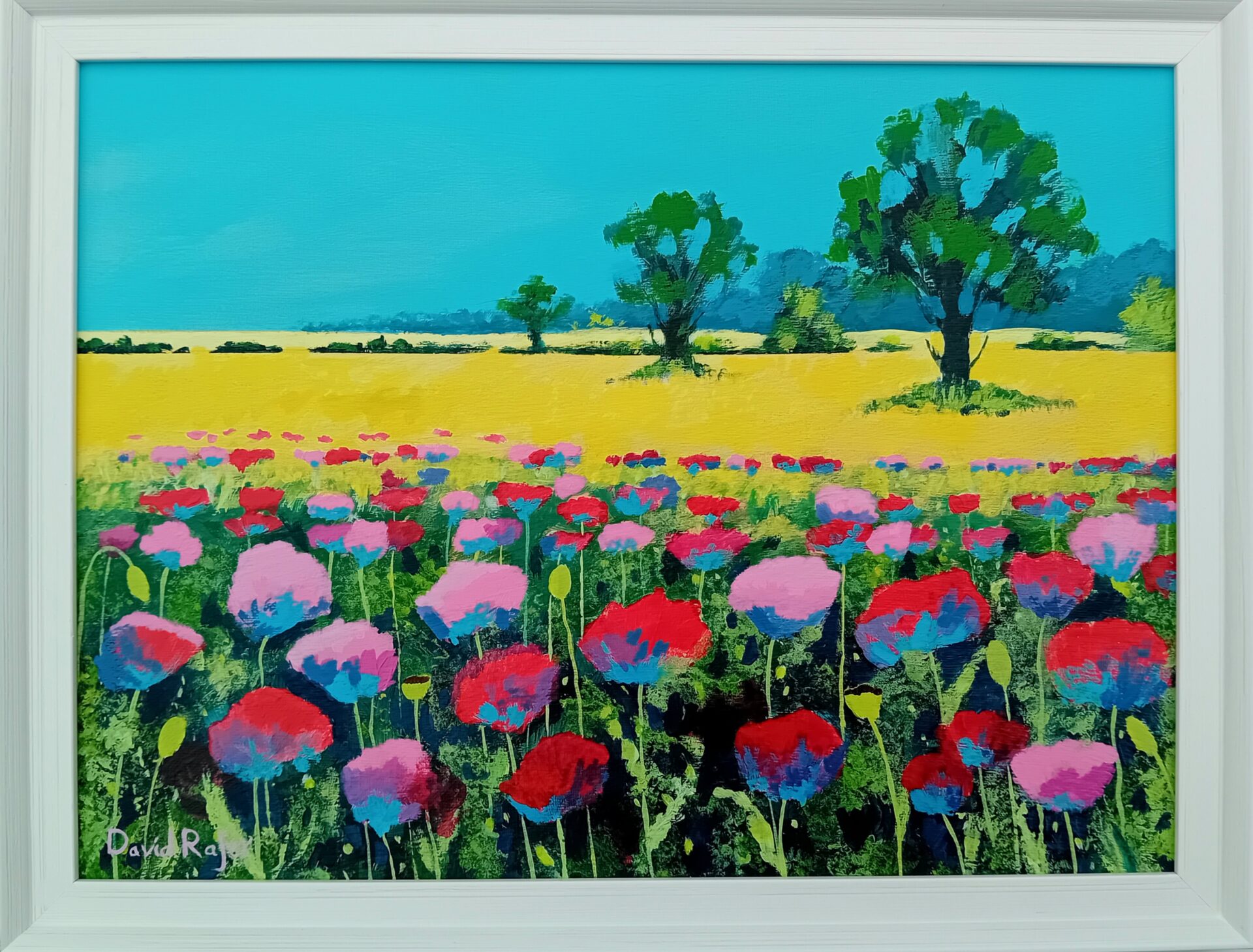 DRafer Norfolk Poppies, 31x41cm acrylic £250