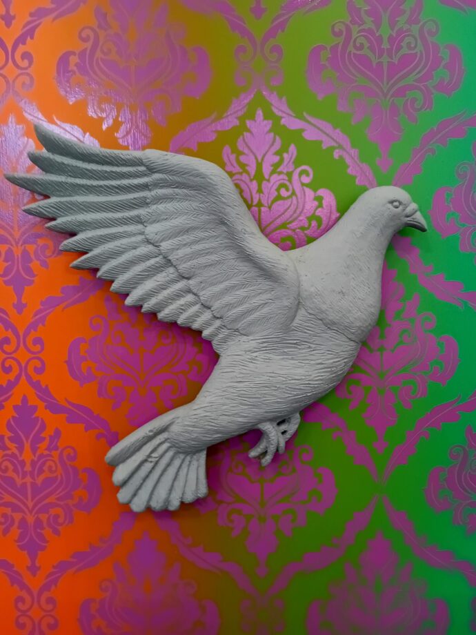 Neil Bailey pigeon in flight