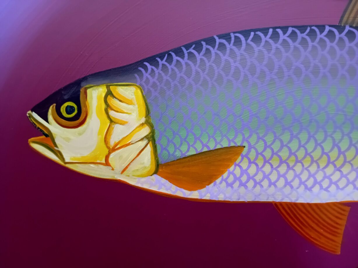Neil Bailey- Fish Head