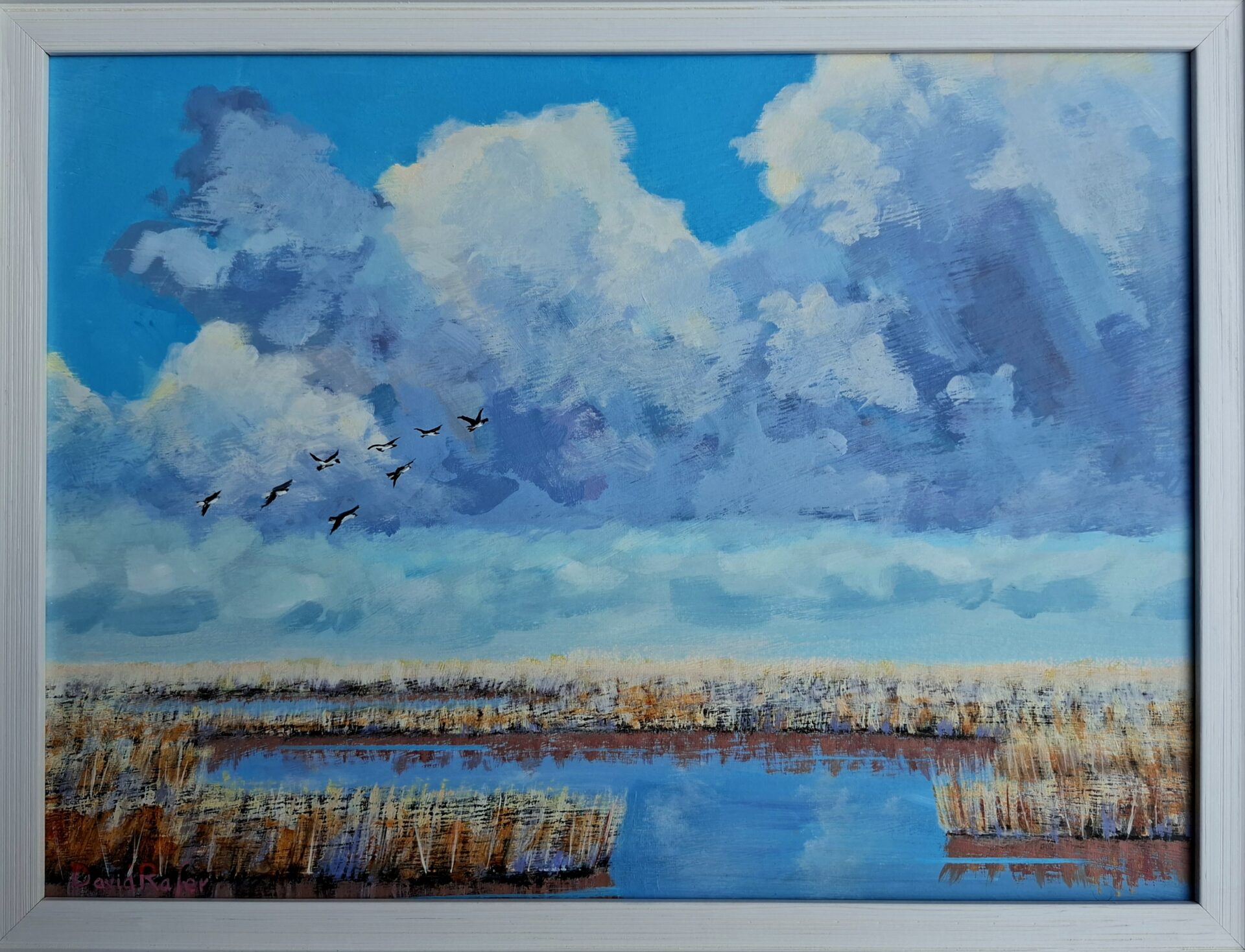 David Rafer-Salthouse Marsh